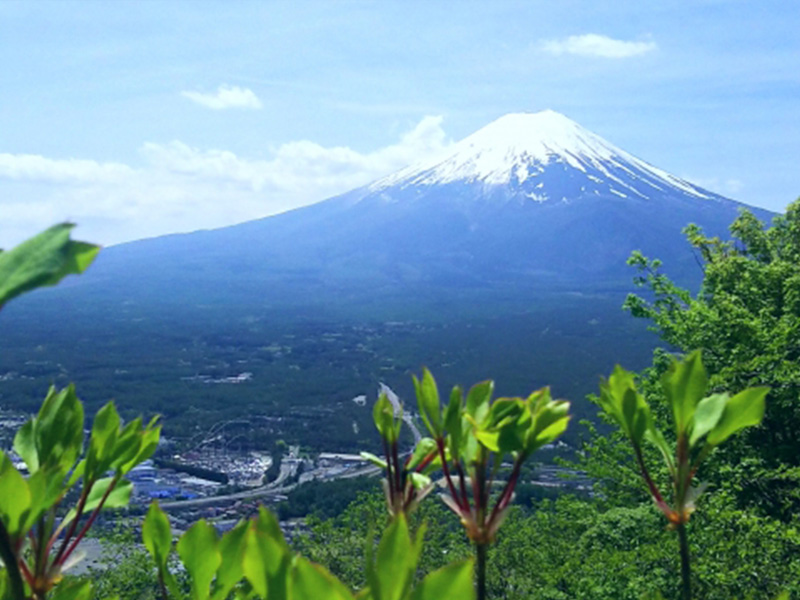 富士河口湖 富士山リゾート宿泊プラン 富士急フリーパス付得々プラン